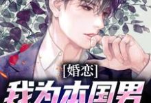 婚恋:我为本国男生找洋美人小说全文阅读需要付费吗?寻找免费资源-推书机