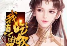 我真的不想吃软饭小说的无弹窗阅读体验,寻找免费阅读网站-推书机