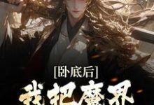 卧底后,我把魔界圣女拿下了小说全文哪里可以免费看?-推书机