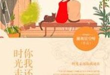 时光走远,你我还在小说全文阅读需要付费吗?寻找免费资源-推书机