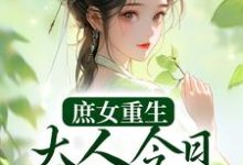 庶女重生:大人今日断案否?夏桉盛枷,庶女重生:大人今日断案否?章节在线阅读-推书机