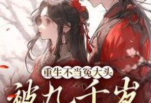 重生不当冤大头,被九千岁提亲了(叶知笙裴观)在线免费阅读-推书机