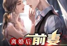 《离婚后,前妻跪求原谅》小说大结局免费试读 陈江唐幼楚小说-推书机
