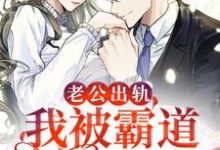 完结版《老公出轨,我被霸道总裁盯上了》章节阅读-推书机