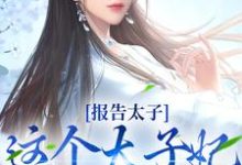 完整版的报告太子：这个太子妃好眼熟小说在哪里可以免费读到？-推书机