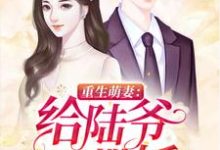 重生萌妻:给陆爷撒撒娇小说,重生萌妻:给陆爷撒撒娇章节在线阅读-推书机