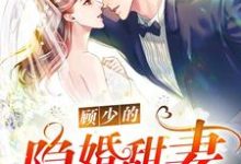 求顾少的隐婚甜妻小说的全文免费阅读链接-推书机