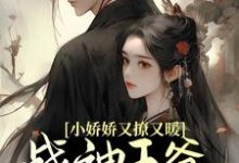 在线免费阅读小娇娇又撩又暖，战神王爷江山为聘完整小说-推书机