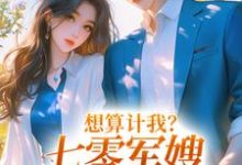 想算计我？七零军嫂搬空你全家免费阅读，想算计我？七零军嫂搬空你全家章节目录-推书机