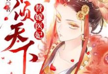 替嫁医妃权倾天下最新章节，替嫁医妃权倾天下免费阅读-推书机