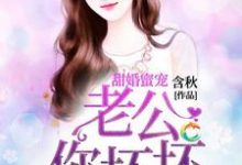 甜婚蜜宠:老公你坏坏这本小说在哪里可以看?哪里有免费试读章节?-推书机