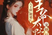 入王府,做通房,王爷太野宠她狂祁北辰苏摇,入王府,做通房,王爷太野宠她狂最新章节-推书机