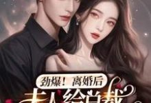 免费在线阅读劲爆，离婚后夫人给总裁挂男科了小说的正规网站有哪些？-推书机