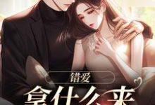 完结版《错爱:拿什么来拯救你》章节阅读-推书机