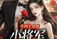 牛肉干管饱,小将军主动入赘小说最新更新在哪里?免费在线看-推书机