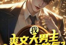 苏尘温婉苏总陈少宇少宇小说完结版在线阅读,我,爽文大男主,能受虐文的气?免费看-推书机