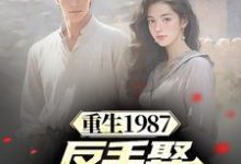 李峰李援朝李卫国小说重生1987,反手娶小姨子真香在线阅读-推书机