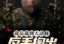 小说《裁员裁到大动脉,反手掏出黑神话》在线章节阅读-推书机