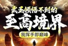 武圣领悟不到的至高境界,我挥手即巅峰小说的免费电子版在哪里可以下载或阅读?-推书机