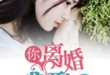 你离婚，我娶你小说阅读，你离婚，我娶你完结版-推书机