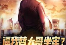逼我替大哥坐牢？事后当我拖油瓶这本小说怎么样？免费在线阅读试试-推书机