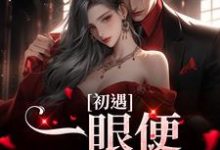 初遇：一眼便定下终生沐芷妍林浩然，初遇：一眼便定下终生最新章节-推书机