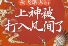 完结版《灰飞烟灭后,上神被打入凡间了》在线免费阅读-推书机
