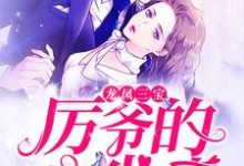 《龙凤三宝：厉爷的心尖妻》小说莫宁溪厉玺丞章节章节免费在线阅读-推书机