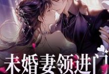 未婚妻领进门,第二天进医院许蓝因小说大结局免费试读-推书机