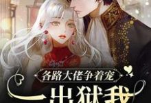 各路大佬争着宠?一出狱我成团宠小说完结版章节在线阅读-推书机
