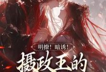 明撩!暗诱!摄政王的外室不好当小说无弹窗阅读的网站推荐-推书机