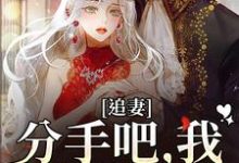 小说《追妻：分手吧，我不哄你了》章节阅读-推书机