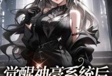 在线寻找觉醒神豪系统后，我成了万人迷小说的无删减版本-推书机