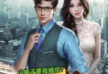 让你给小舅子买房,你把他女友娶了?小说,让你给小舅子买房,你把他女友娶了?最新章节-推书机