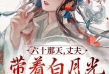 《六十那天，丈夫带着白月光回府了》小说宋瑛章节章节免费在线阅读-推书机