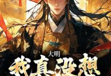小说《大明:我真没想当皇帝!》章节免费阅读-推书机
