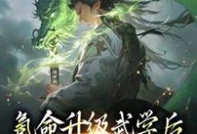 小说《氪命升级武学后,我砍妖王拿寿元》章节阅读-推书机