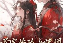 《首富娇矜女妩媚,王爷欲罢不能》小说章节列表免费试读,苏珞浅陆璟肆小说在线阅读-推书机