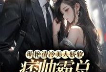 明艳清冷美人娇软,痞帅霸总他超爱许莓柯聿淮小说免费阅读-推书机