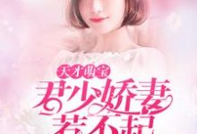 天才萌宝:君少娇妻惹不起小说全文哪里可以免费看?-推书机