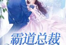 霸道总裁求抱抱小说,霸道总裁求抱抱林宛白霍长渊-推书机