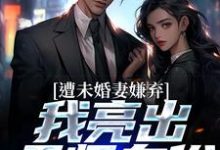 遭未婚妻嫌弃，我亮出天师身份小说有没有完结版在线？-推书机