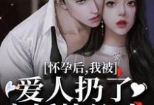 南星傅云川小说《怀孕后,我被爱人扔了离婚协议书》在线阅读-推书机