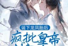 免费看诞下龙凤胎后,疯批皇帝封我为后小说的网站有哪些?-推书机