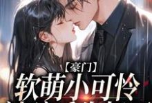 求豪门:软萌小可怜被骗后失忆了小说免费资源-推书机