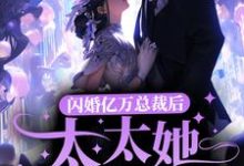 沈一安宋凛小说闪婚亿万总裁后,太太她成了白富美章节免费阅读-推书机