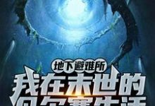 地下避难所:我在末世的凡尔赛生活小说有没有完结版在线?-推书机
