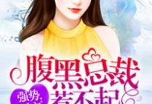 腹黑总裁惹不起小说的所有章节都能在哪里免费读到？-推书机