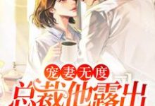 宠妻无度:总裁他露出狐狸尾巴了小说的无弹窗阅读体验,寻找免费阅读网站-推书机