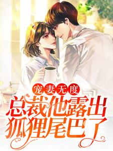 宠妻无度：总裁他露出狐狸尾巴了小说的无弹窗阅读体验，寻找免费阅读网站